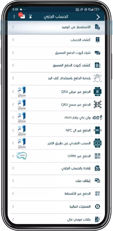 الاستفسار عن الرصيد خطوة 3