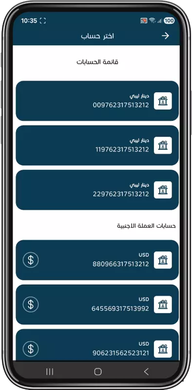 From the accounts menu, select your foreign currency (USD) account.