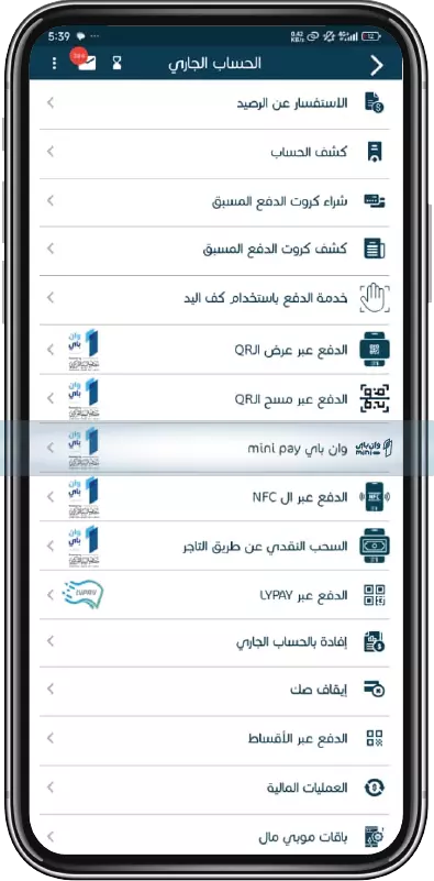 الدفع عبر وان باي ميني باي خطوة 3