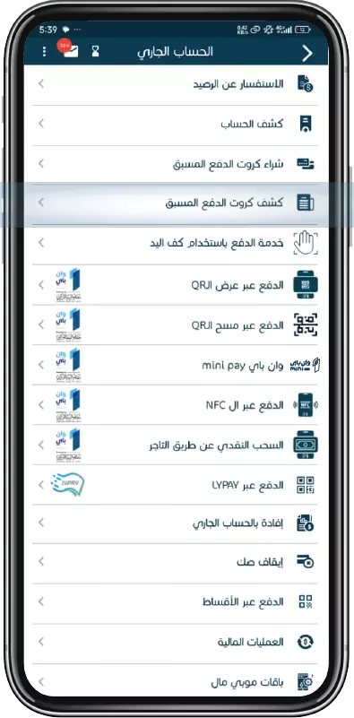 كشف كروت الدفع المسبق خطوة 3